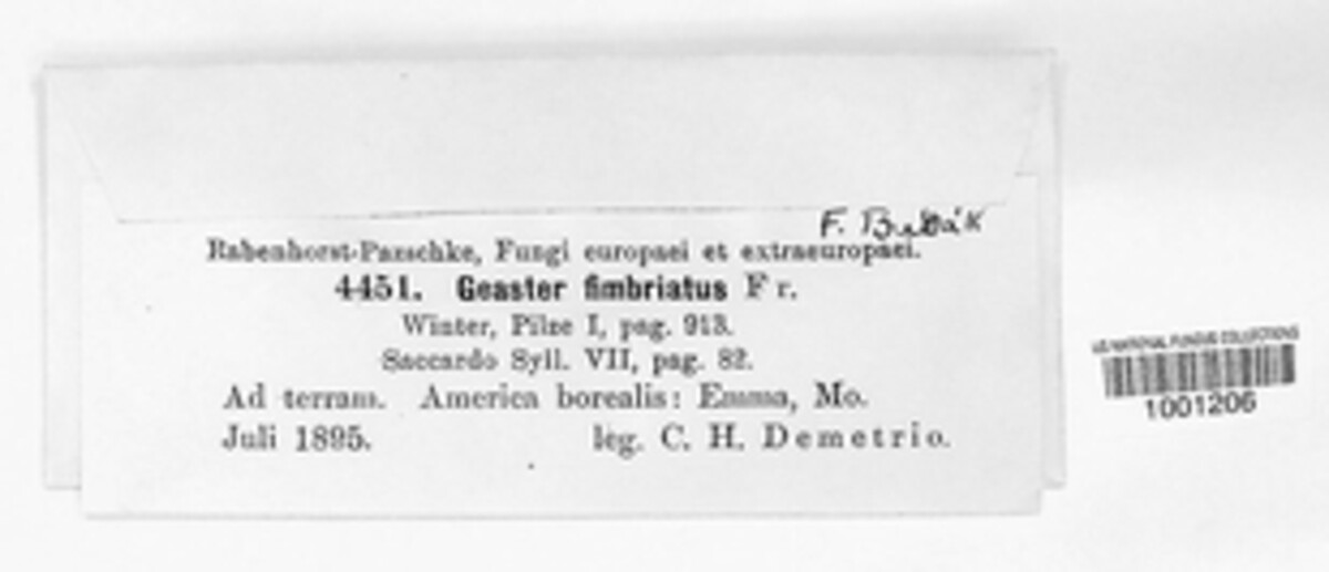Geaster fimbriatus image